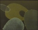 Green on Green - 2008